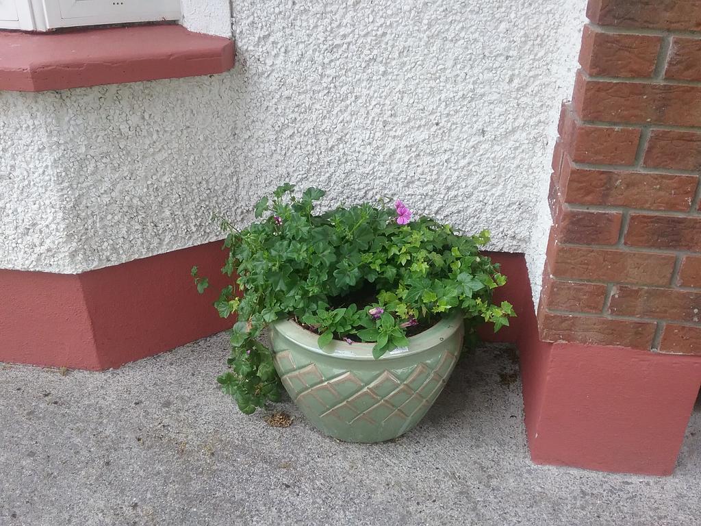 Rocksberry Bed & Breakfast Castlebar Bagian luar foto